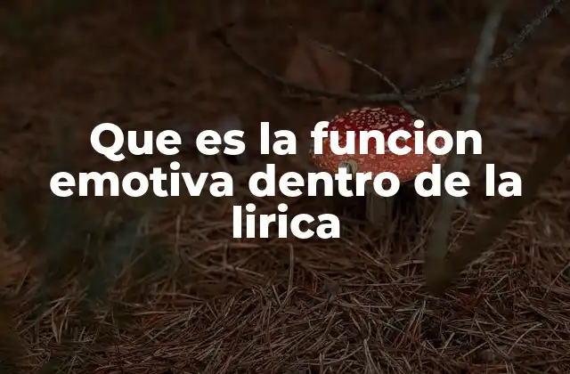Que es la Funcion Emotiva Dentro de la Lirica