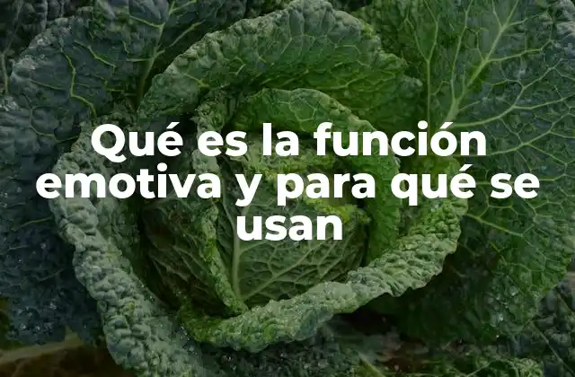 Qué es la Función Emotiva y para Qué Se Usan