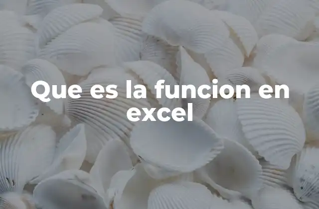 Que es la Funcion en Excel
