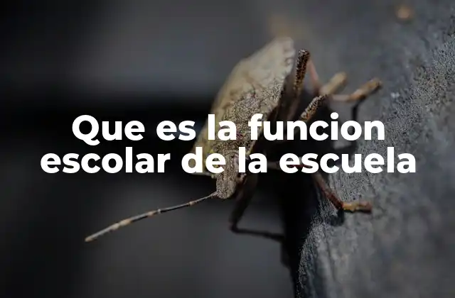 Que es la Funcion Escolar de la Escuela