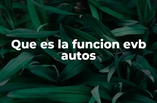 Que es la Funcion Evb Autos