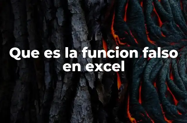 Que es la Funcion Falso en Excel
