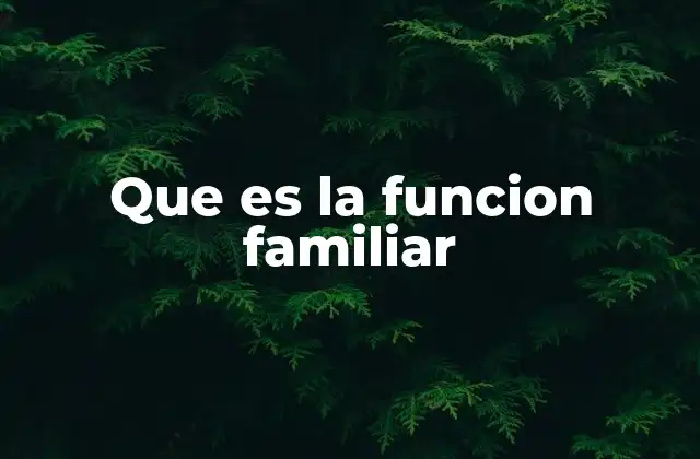 Que es la Funcion Familiar
