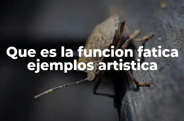 Que es la Funcion Fatica Ejemplos Artistica