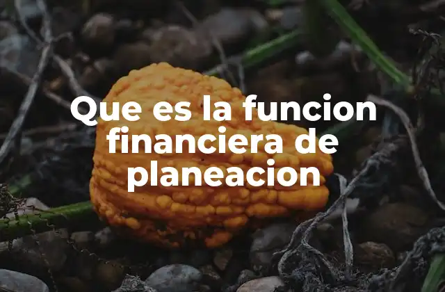 Que es la Funcion Financiera de Planeacion
