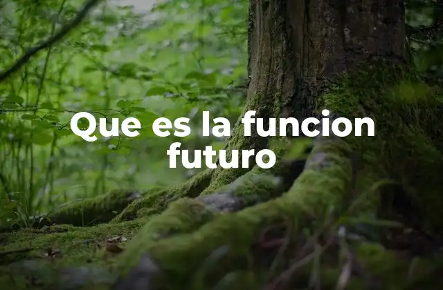 Que es la Funcion Futuro