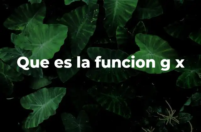 La importancia de las funciones en matemáticas