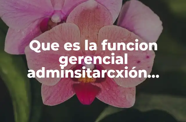 Que es la Funcion Gerencial Adminsitarcxión Publica