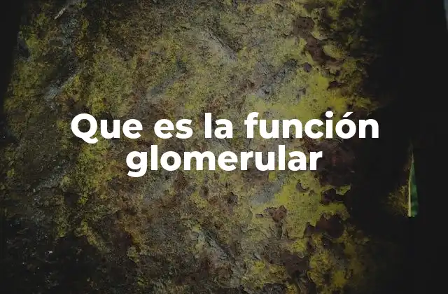 Que es la Función Glomerular