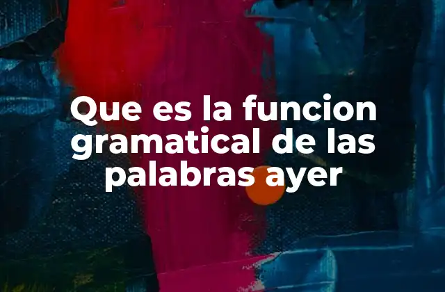 Que es la Funcion Gramatical de las Palabras Ayer