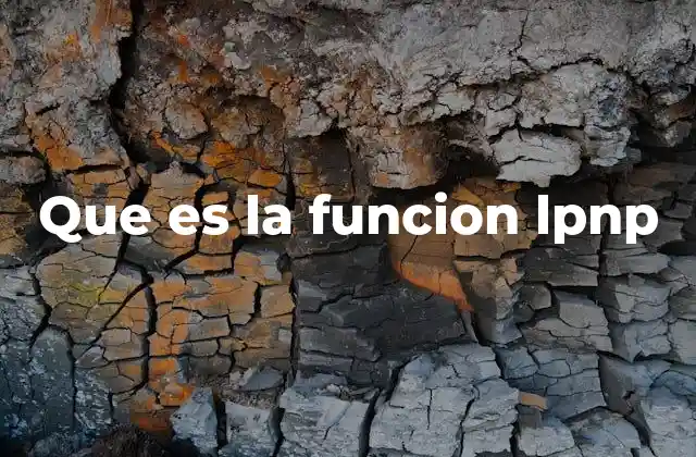 Que es la Funcion Lpnp