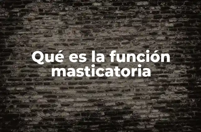 Qué es la Función Masticatoria