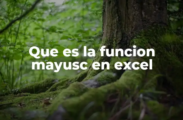 Que es la Funcion Mayusc en Excel