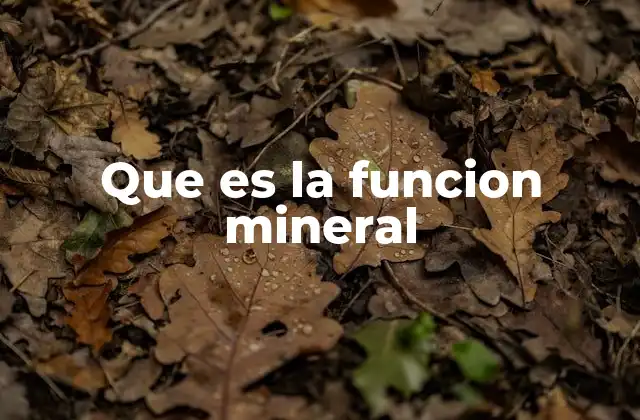 Que es la Funcion Mineral