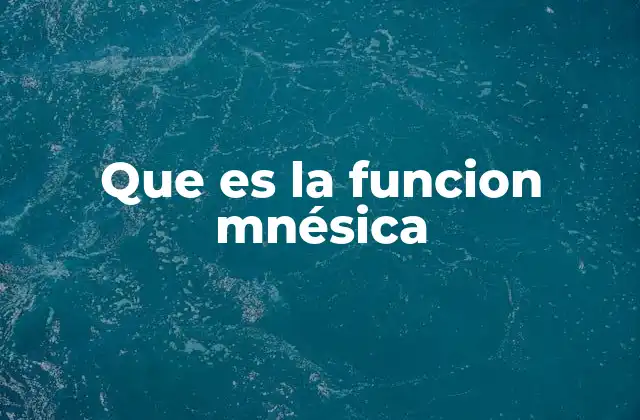 Que es la Funcion Mnésica