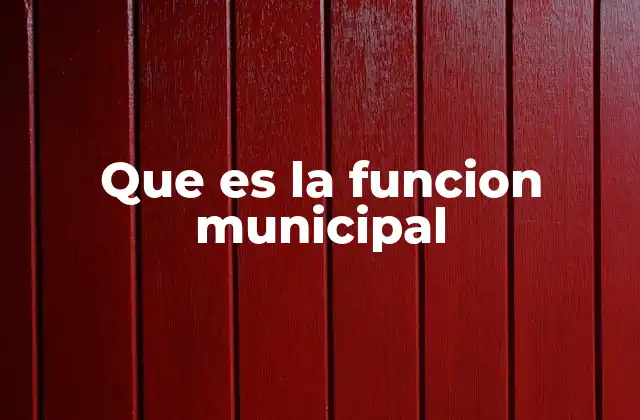 Que es la Funcion Municipal