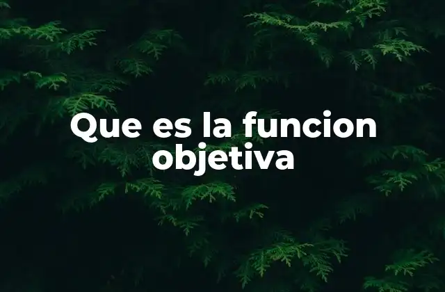 Que es la Funcion Objetiva
