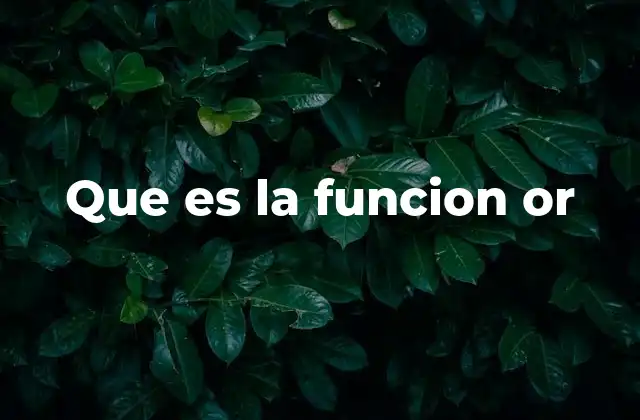 El papel de la lógica OR en la programación