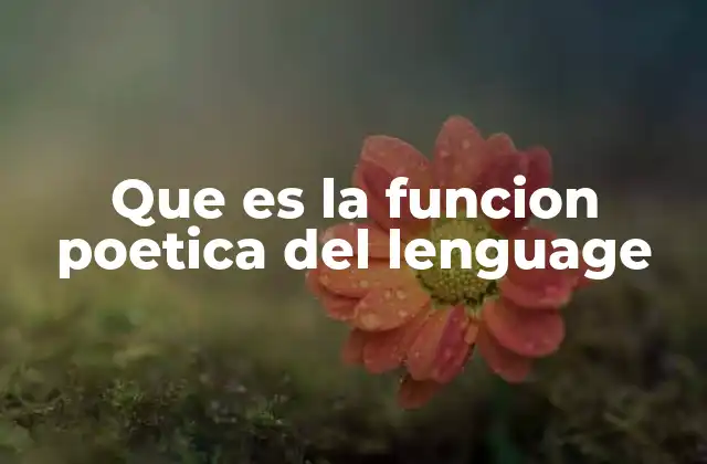 Que es la Funcion Poetica Del Lenguage