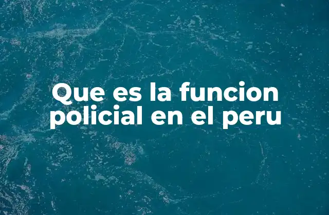 Que es la Funcion Policial en el Peru
