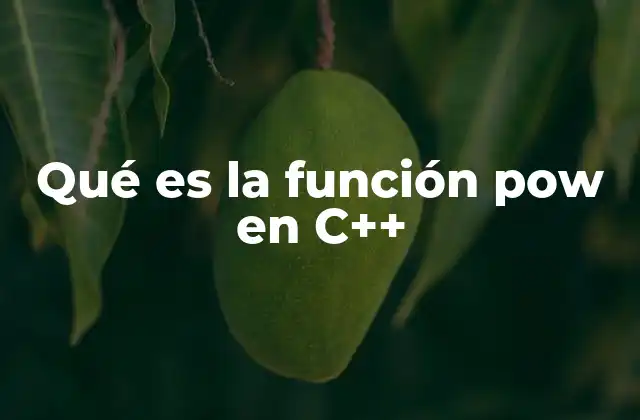 Qué es la Función Pow en C++