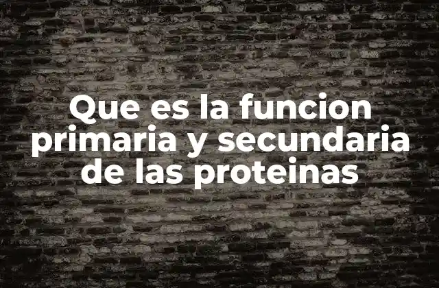 Cómo se relacionan la estructura y la función en las proteínas
