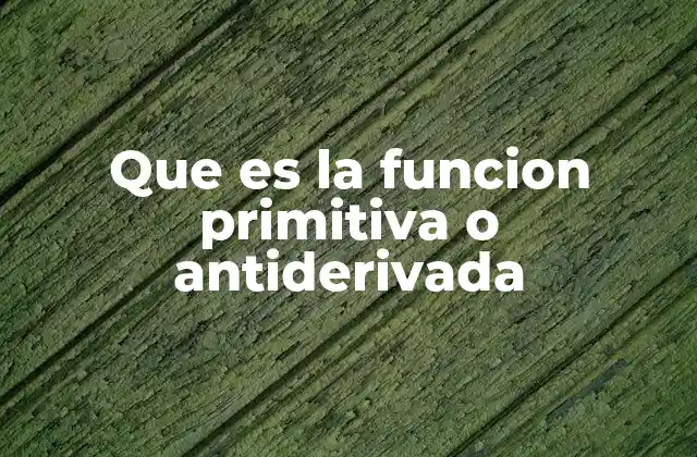 Que es la Funcion Primitiva o Antiderivada