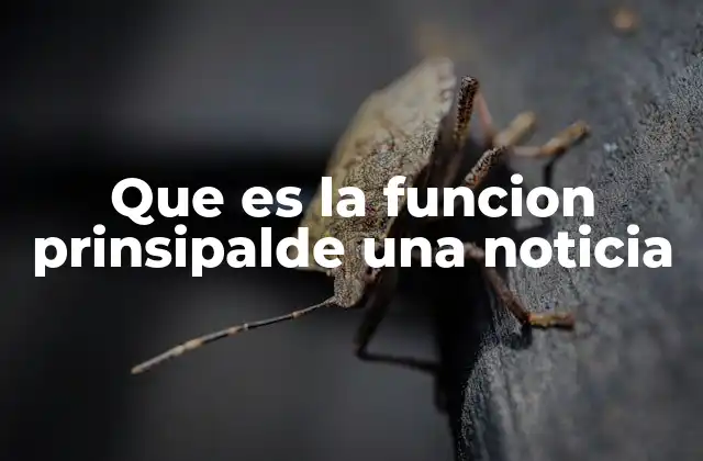 El propósito comunicativo detrás de la noticia