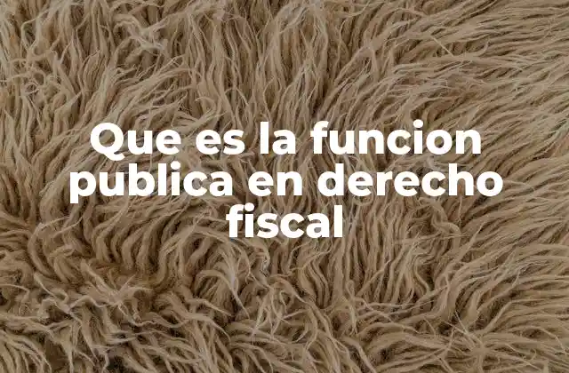 El papel del Estado en la organización de la función pública fiscal