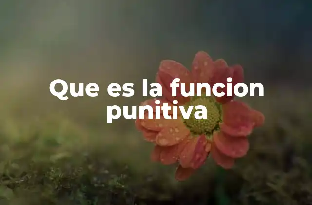 Que es la Funcion Punitiva