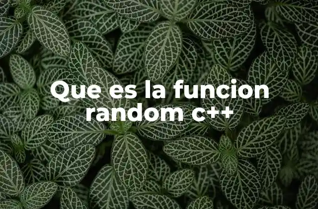 Que es la Funcion Random C++ 2 La generación de números aleatorios en C++