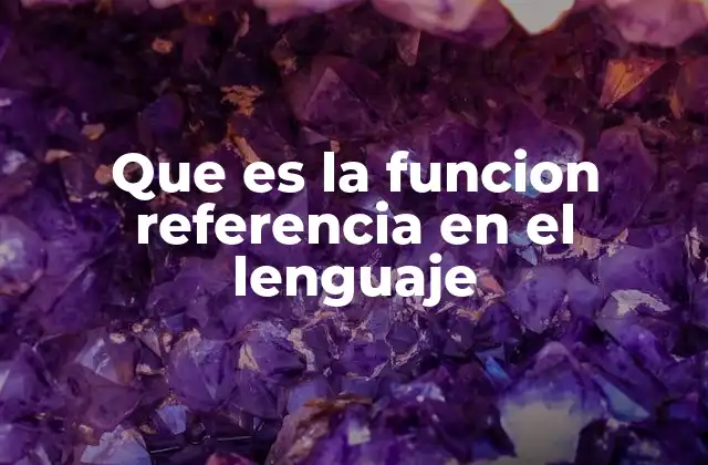 Que es la Funcion Referencia en el Lenguaje