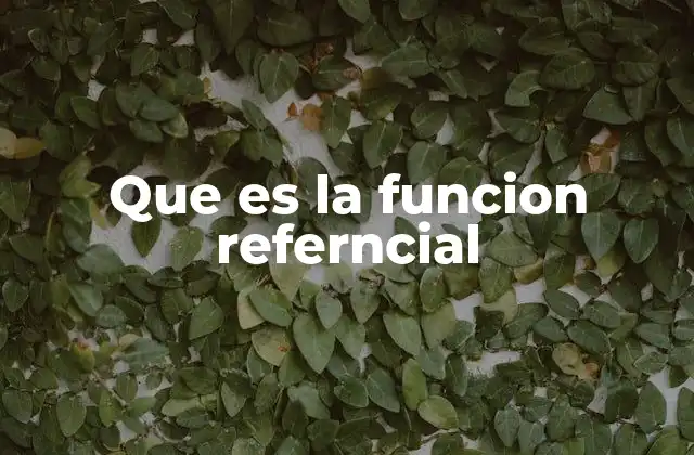 Que es la Funcion Referncial