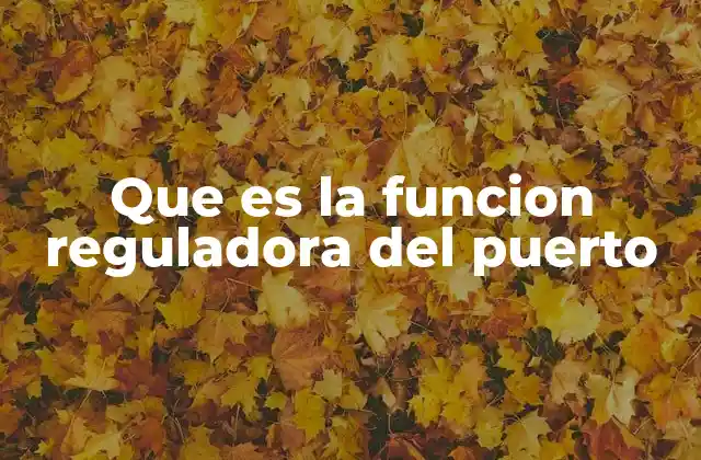 Que es la Funcion Reguladora Del Puerto