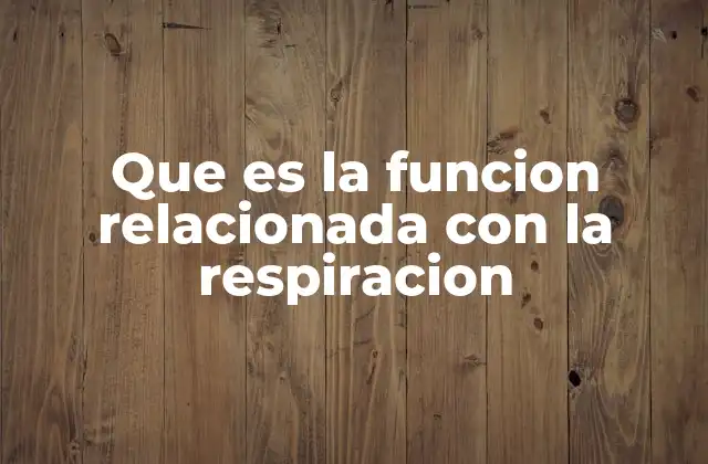 Que es la Funcion Relacionada con la Respiracion