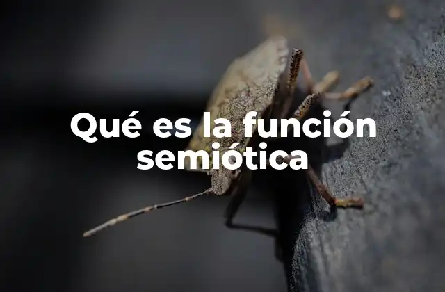 Qué es la Función Semiótica
