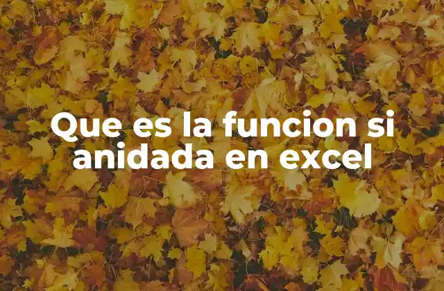 Que es la Funcion Si Anidada en Excel