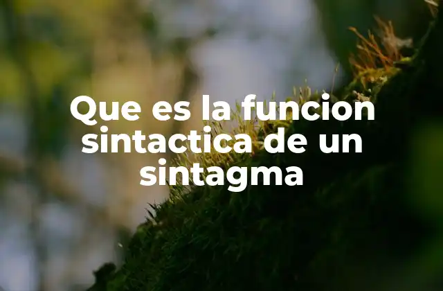 Que es la Funcion Sintactica de un Sintagma 2 La importancia de identificar funciones sintácticas