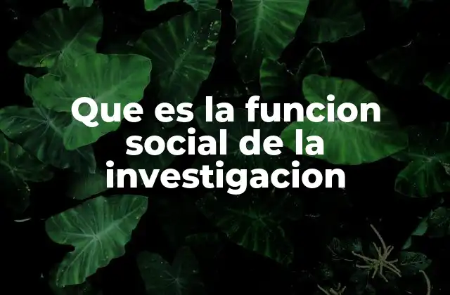 Que es la Funcion Social de la Investigacion