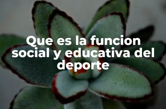 Que es la Funcion Social y Educativa Del Deporte 2 El deporte como herramienta para el desarrollo humano