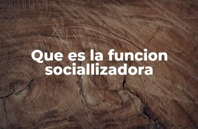 Que es la Funcion Sociallizadora
