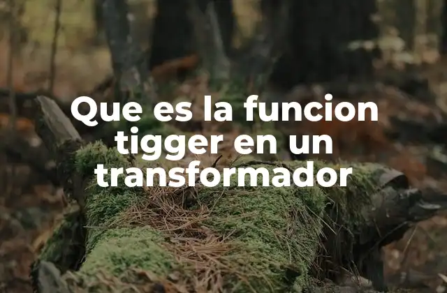 Que es la Funcion Tigger en un Transformador