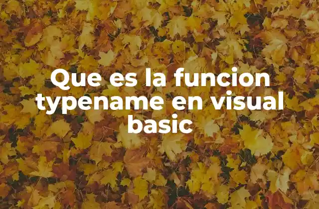 Cómo usar TypeName en la gestión de tipos en Visual Basic