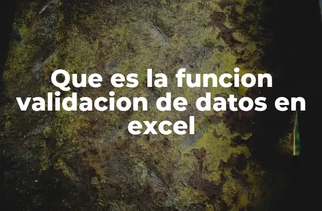 Que es la Funcion Validacion de Datos en Excel