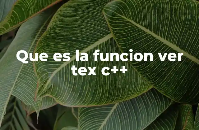 Que es la Funcion Ver Tex C++