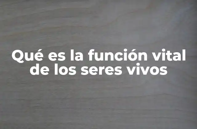 Qué es la Función Vital de los Seres Vivos 2 Las bases biológicas de las funciones vitales