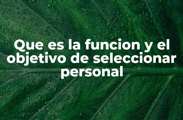 Que es la Funcion y el Objetivo de Seleccionar Personal