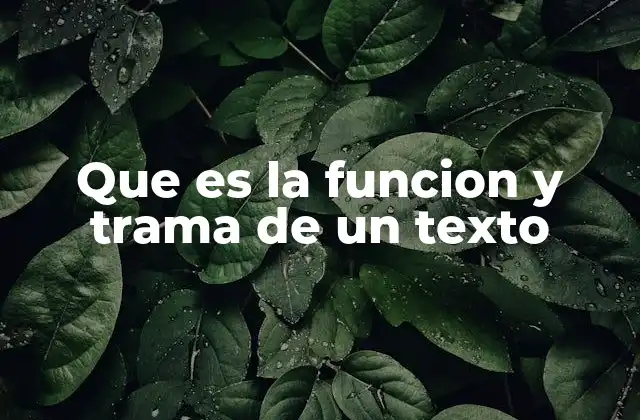 Que es la Funcion y Trama de un Texto