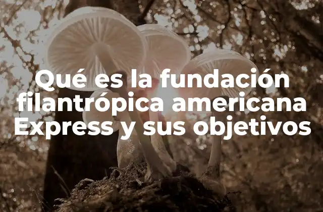 Qué es la Fundación Filantrópica Americana Express y Sus Objetivos