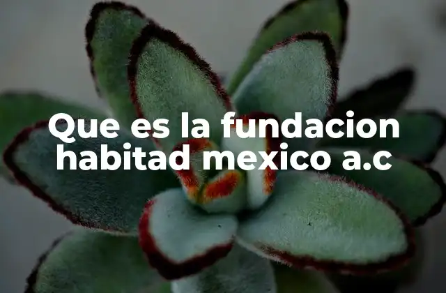 Que es la Fundacion Habitad Mexico A.c